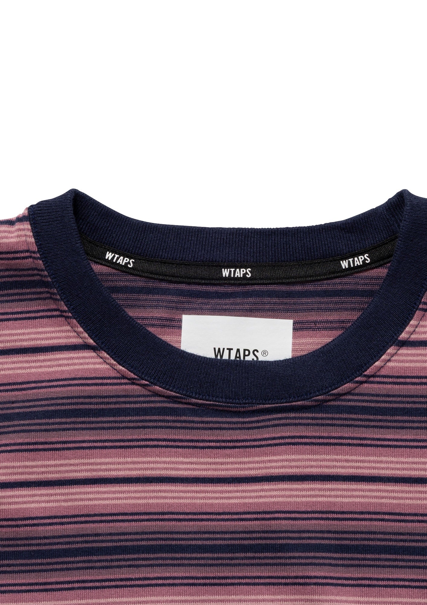 BDY 01 / SS / COTTON
