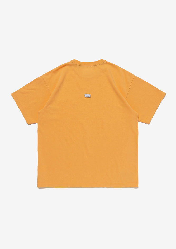 INSECT / SS / COTTON