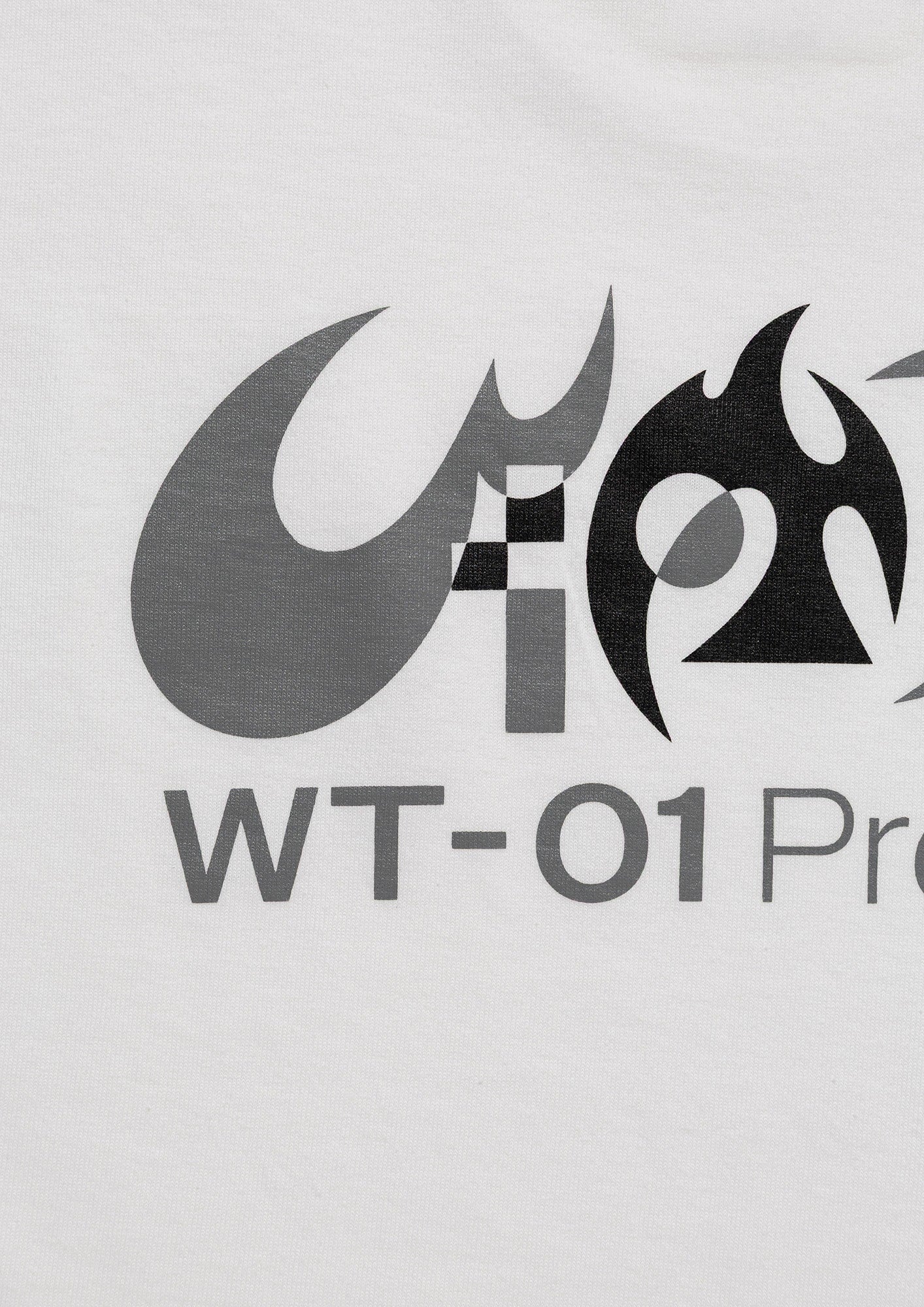 WT-01 PROTOCOL / SS / COTTON. HWANG YUSUN